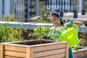 Woman watering the plants in their community garden - inclusive multi-family architecture amenities.